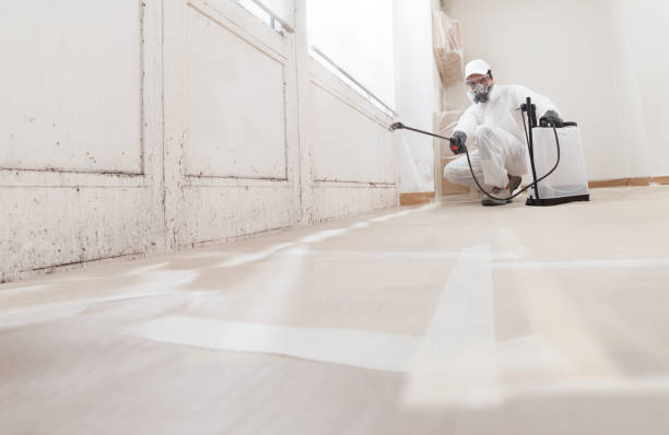 24/7 Emergency Basement Mold Removal experts in Jersey City, NJ