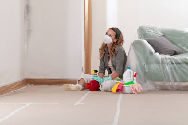Reliable Basement Mold Removal contractor in Jersey City, NJ by WQB Mold Removal